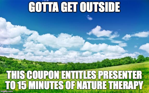 beautiful nature | GOTTA GET OUTSIDE; THIS COUPON ENTITLES PRESENTER TO 15 MINUTES OF NATURE THERAPY | image tagged in beautiful nature | made w/ Imgflip meme maker