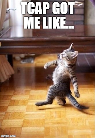 Cool Cat Stroll Meme | TCAP GOT ME LIKE... | image tagged in memes,cool cat stroll | made w/ Imgflip meme maker