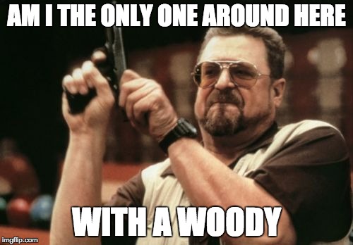 Am I The Only One Around Here | AM I THE ONLY ONE AROUND HERE; WITH A WOODY | image tagged in memes,am i the only one around here | made w/ Imgflip meme maker