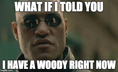 Matrix Morpheus Meme | WHAT IF I TOLD YOU; I HAVE A WOODY RIGHT NOW | image tagged in memes,matrix morpheus | made w/ Imgflip meme maker