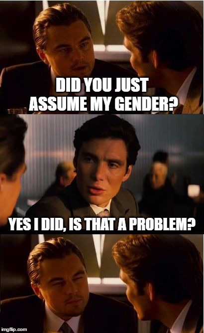 Inception Assumed | DID YOU JUST ASSUME MY GENDER? YES I DID, IS THAT A PROBLEM? | image tagged in memes,inception,did you just assume my gender,identity politics,sjw,triggered | made w/ Imgflip meme maker