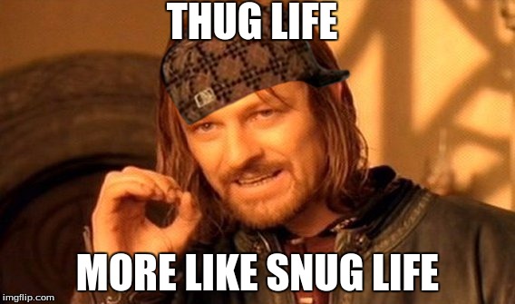 One Does Not Simply Meme | THUG LIFE; MORE LIKE SNUG LIFE | image tagged in memes,one does not simply,scumbag | made w/ Imgflip meme maker