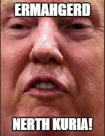 Trump Derp | ERMAHGERD; NERTH KURIA! | image tagged in trump derp | made w/ Imgflip meme maker