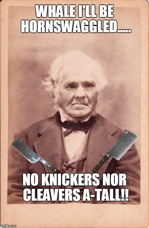 WHALE I'LL BE HORNSWAGGLED..... NO KNICKERS NOR CLEAVERS A-TALL!! | made w/ Imgflip meme maker