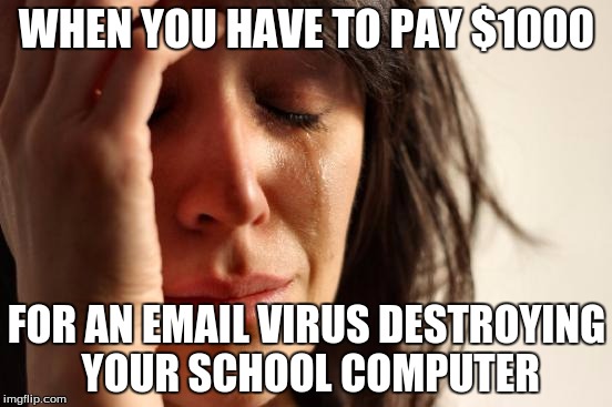 First World Problems Meme | WHEN YOU HAVE TO PAY $1000; FOR AN EMAIL VIRUS DESTROYING YOUR SCHOOL COMPUTER | image tagged in memes,first world problems | made w/ Imgflip meme maker