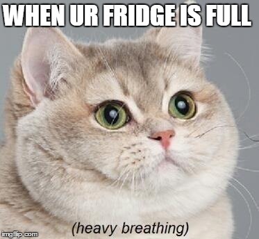 Heavy Breathing Cat |  WHEN UR FRIDGE IS FULL | image tagged in memes,heavy breathing cat | made w/ Imgflip meme maker