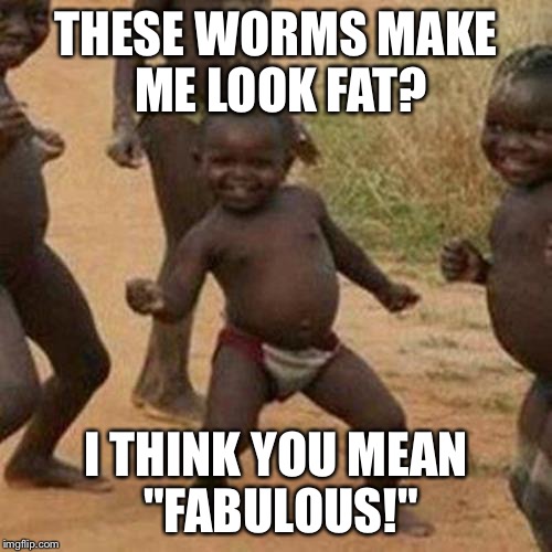 Ethio No He Didn't! | THESE WORMS MAKE ME LOOK FAT? I THINK YOU MEAN "FABULOUS!" | image tagged in memes,third world success kid,fabulous,africa | made w/ Imgflip meme maker