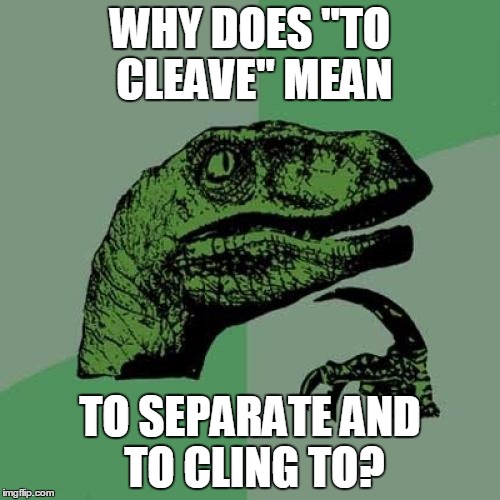 Philosoraptor | WHY DOES "TO CLEAVE" MEAN; TO SEPARATE AND TO CLING TO? | image tagged in memes,philosoraptor | made w/ Imgflip meme maker