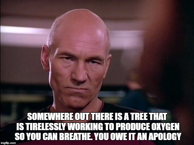 SOMEWHERE OUT THERE IS A TREE THAT IS TIRELESSLY WORKING TO PRODUCE OXYGEN SO YOU CAN BREATHE. YOU OWE IT AN APOLOGY | image tagged in star trek,picard wtf | made w/ Imgflip meme maker