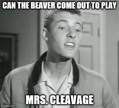 Cleavage Week - A .musha.thedog event  | CAN THE BEAVER COME OUT TO PLAY; MRS. CLEAVAGE | image tagged in memes,cleavage week | made w/ Imgflip meme maker