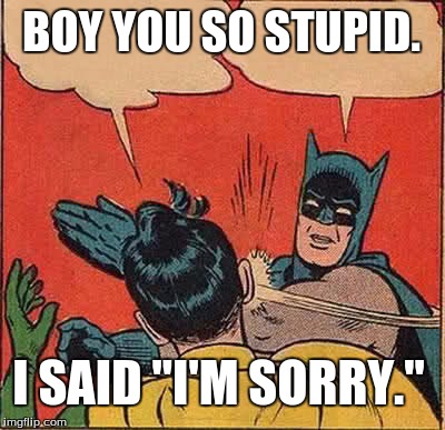 Batman Slapping Robin | BOY YOU SO STUPID. I SAID "I'M SORRY." | image tagged in memes,batman slapping robin | made w/ Imgflip meme maker