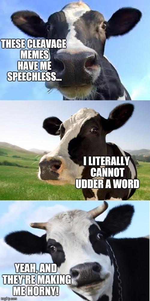 So funny I laughed my moobs off!  | THESE CLEAVAGE MEMES HAVE ME SPEECHLESS... I LITERALLY CANNOT UDDER A WORD; YEAH, AND THEY'RE MAKING ME HORNY! | image tagged in bad pun cow,memes,cows | made w/ Imgflip meme maker