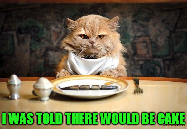 I was told there would be cake | I WAS TOLD THERE WOULD BE CAKE | image tagged in memes,cats,animals,cake,i was told there would be,fish for dinner | made w/ Imgflip meme maker
