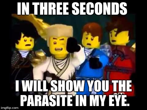 Ninjago Wut | IN THREE SECONDS; I WILL SHOW YOU THE PARASITE IN MY EYE. | image tagged in ninjago wut | made w/ Imgflip meme maker