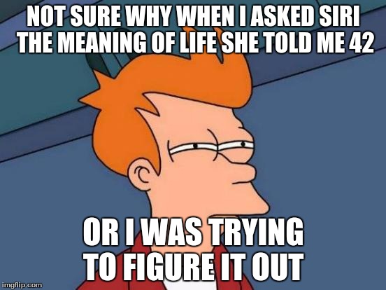Futurama Fry Meme | NOT SURE WHY WHEN I ASKED SIRI THE MEANING OF LIFE SHE TOLD ME 42; OR I WAS TRYING TO FIGURE IT OUT | image tagged in memes,futurama fry | made w/ Imgflip meme maker