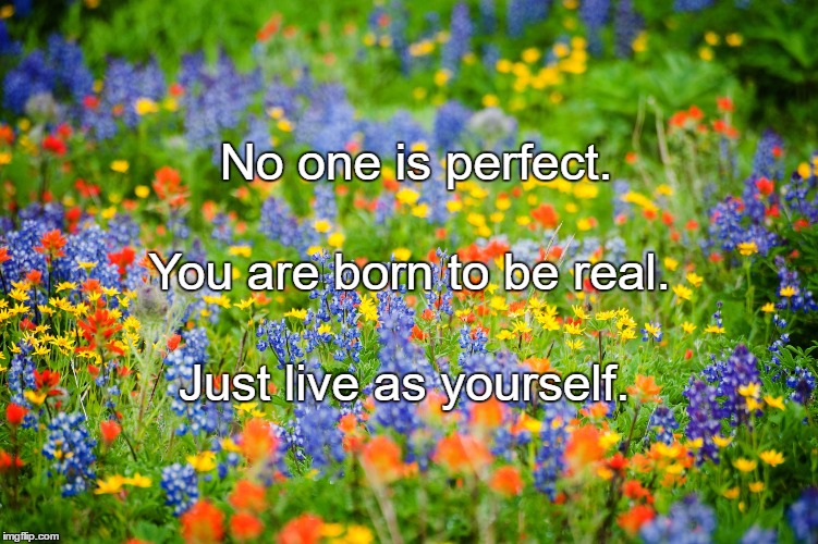 Wildflowers | No one is perfect. You are born to be real. Just live as yourself. | image tagged in wildflowers | made w/ Imgflip meme maker