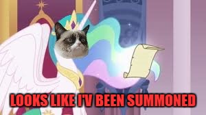 LOOKS LIKE I'V BEEN SUMMONED | image tagged in grumpy cat celestia | made w/ Imgflip meme maker