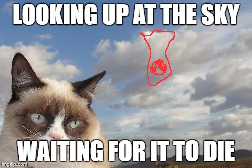 Grumpy Cat Sky Meme | LOOKING UP AT THE SKY; WAITING FOR IT TO DIE | image tagged in memes,grumpy cat sky,grumpy cat | made w/ Imgflip meme maker