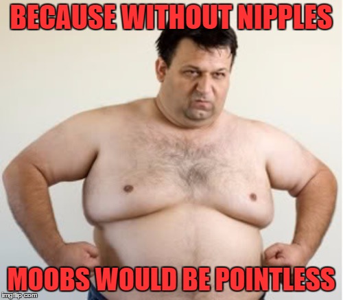 BECAUSE WITHOUT NIPPLES MOOBS WOULD BE POINTLESS | made w/ Imgflip meme maker