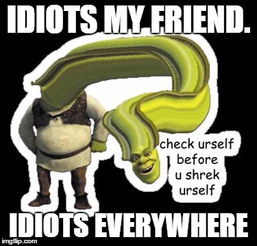 skrek | IDIOTS MY FRIEND. IDIOTS EVERYWHERE | image tagged in skrek | made w/ Imgflip meme maker