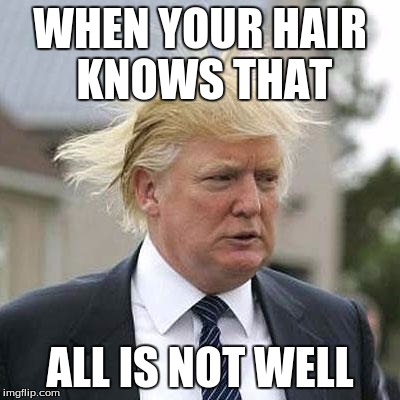 Donald Trump | WHEN YOUR HAIR KNOWS THAT; ALL IS NOT WELL | image tagged in donald trump | made w/ Imgflip meme maker