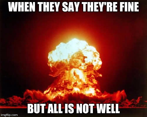 Nuclear Explosion Meme | WHEN THEY SAY THEY'RE FINE; BUT ALL IS NOT WELL | image tagged in memes,nuclear explosion | made w/ Imgflip meme maker