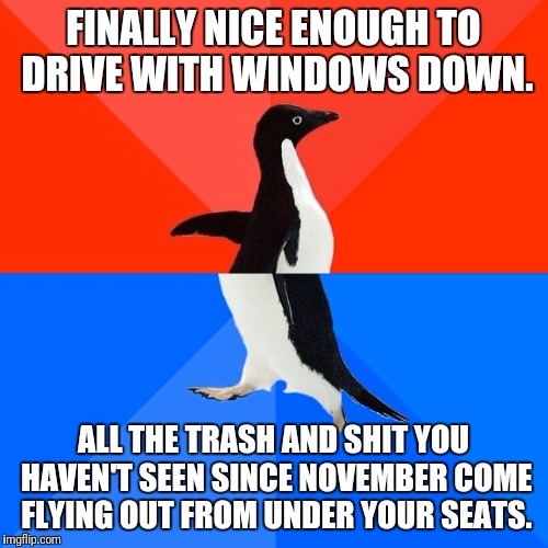 Socially Awesome Awkward Penguin | FINALLY NICE ENOUGH TO DRIVE WITH WINDOWS DOWN. ALL THE TRASH AND SHIT YOU HAVEN'T SEEN SINCE NOVEMBER COME FLYING OUT FROM UNDER YOUR SEATS. | image tagged in memes,socially awesome awkward penguin | made w/ Imgflip meme maker