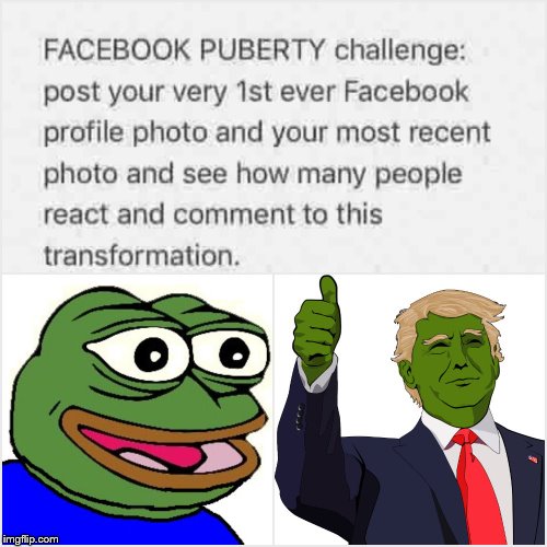 Puberty Challenge Pepe Trump | image tagged in trump,pepe,puberty challenge | made w/ Imgflip meme maker