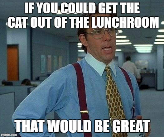 That Would Be Great Meme | IF YOU COULD GET THE CAT OUT OF THE LUNCHROOM THAT WOULD BE GREAT | image tagged in memes,that would be great | made w/ Imgflip meme maker