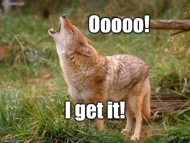 coyote howls | Ooooo! I get it! | image tagged in coyote howls | made w/ Imgflip meme maker