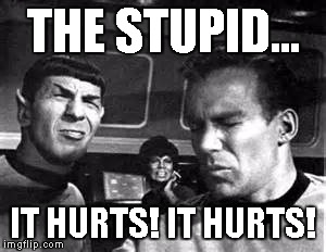 the stupid | THE STUPID... IT HURTS! IT HURTS! | image tagged in stupidity | made w/ Imgflip meme maker