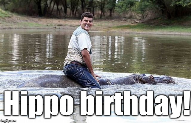 Smile, stupid | Hippo birthday! | image tagged in smile stupid | made w/ Imgflip meme maker