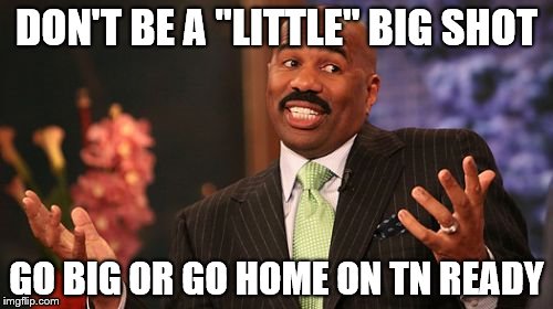 DON'T BE A "LITTLE" BIG SHOT; GO BIG OR GO HOME ON TN READY | image tagged in memes,steve harvey | made w/ Imgflip meme maker