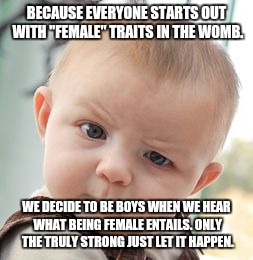 Skeptical Baby Meme | BECAUSE EVERYONE STARTS OUT WITH "FEMALE" TRAITS IN THE WOMB. WE DECIDE TO BE BOYS WHEN WE HEAR WHAT BEING FEMALE ENTAILS. ONLY THE TRULY ST | image tagged in memes,skeptical baby | made w/ Imgflip meme maker