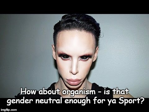 Gender neutral pronoun | How about organism - is that gender neutral enough for ya Sport? | image tagged in genderless alien | made w/ Imgflip meme maker