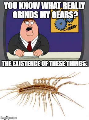 One just crawled across my desk | YOU KNOW WHAT REALLY GRINDS MY GEARS? THE EXISTENCE OF THESE THINGS: | image tagged in peter griffin news,you know what really grinds my gears | made w/ Imgflip meme maker