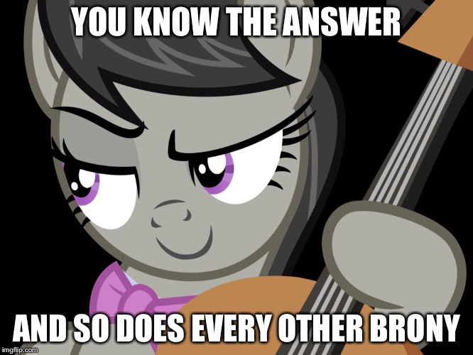 YOU KNOW THE ANSWER AND SO DOES EVERY OTHER BRONY | made w/ Imgflip meme maker