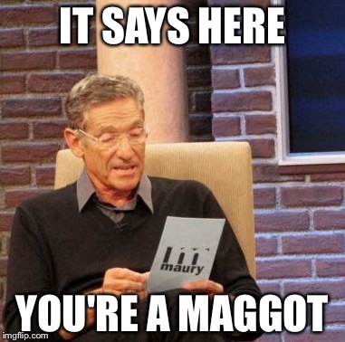 Maury Lie Detector Meme | IT SAYS HERE YOU'RE A MAGGOT | image tagged in memes,maury lie detector | made w/ Imgflip meme maker