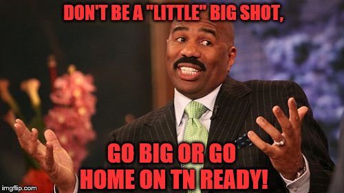 DON'T BE A "LITTLE" BIG SHOT, GO BIG OR GO HOME ON TN READY! | image tagged in memes,steve harvey | made w/ Imgflip meme maker
