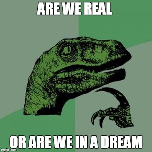 Philosoraptor | ARE WE REAL; OR ARE WE IN A DREAM | image tagged in memes,philosoraptor | made w/ Imgflip meme maker