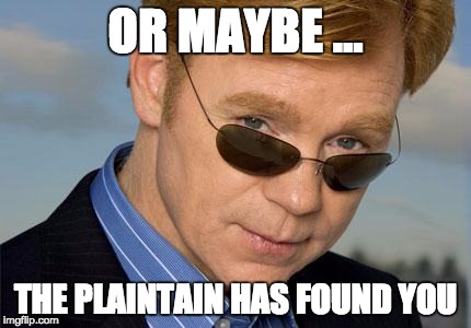 Horatio Caine | OR MAYBE ... THE PLAINTAIN HAS FOUND YOU | image tagged in horatio caine | made w/ Imgflip meme maker
