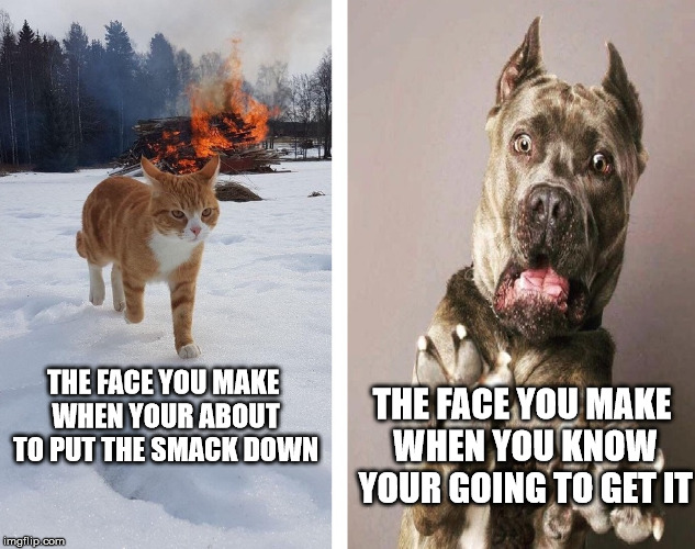 The Face You Make | THE FACE YOU MAKE WHEN YOUR ABOUT TO PUT THE SMACK DOWN; THE FACE YOU MAKE WHEN YOU KNOW YOUR GOING TO GET IT | image tagged in the face you make when,the face you make,time to cash the check,it wasn't me | made w/ Imgflip meme maker