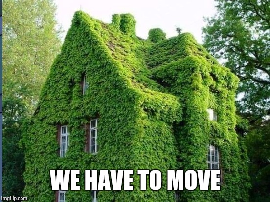 WE HAVE TO MOVE | made w/ Imgflip meme maker