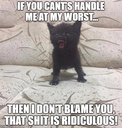 If you can't handle me...Funny | IF YOU CANT'S HANDLE ME AT MY WORST... THEN I DON'T BLAME YOU, THAT SHIT IS RIDICULOUS! | image tagged in funny,cats | made w/ Imgflip meme maker