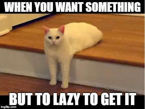 cats are lazy | WHEN YOU WANT SOMETHING; BUT TO LAZY TO GET IT | image tagged in memes,cats,lazy | made w/ Imgflip meme maker
