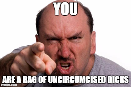 You are a bag of dicks | YOU; ARE A BAG OF UNCIRCUMCISED DICKS | image tagged in you are a bag of dicks | made w/ Imgflip meme maker
