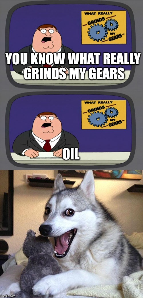 Bad Pun Dog Meme | YOU KNOW WHAT REALLY GRINDS MY GEARS; OIL | image tagged in memes,bad pun dog | made w/ Imgflip meme maker