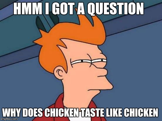 Futurama Fry | HMM I GOT A QUESTION; WHY DOES CHICKEN TASTE LIKE CHICKEN | image tagged in memes,futurama fry | made w/ Imgflip meme maker