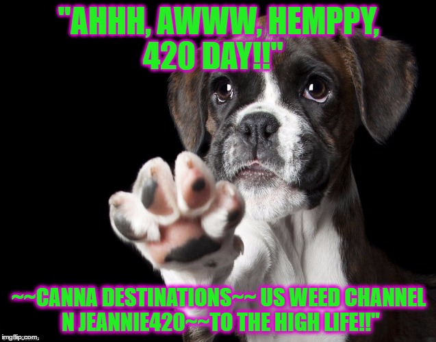 "AHHH, AWWW, HEMPPY, 420 DAY!!"; ~~CANNA DESTINATIONS~~ US WEED CHANNEL N JEANNIE420~~TO THE HIGH LIFE!!" | image tagged in hemppy,420 day | made w/ Imgflip meme maker