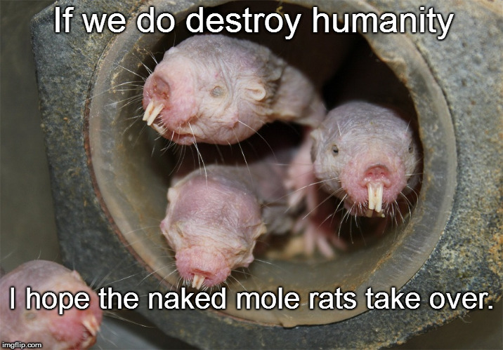 I Hope the Naked Mole Rats Take Over | If we do destroy humanity; I hope the naked mole rats take over. | image tagged in naked,naked mole rats,rats,moles,humanity | made w/ Imgflip meme maker